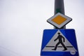 Closeup shot of a main road and a pedestrian crossing symbols Royalty Free Stock Photo