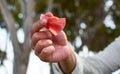 Closeup shot of a male hand holding a piece of watermelon