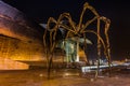 A closeup shot of Maman spider statue at night