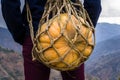 A closeup shot of a man carrying a large big pumpkin in a hand made rope carrying basket. Himalayan region of Uttarakhand India Royalty Free Stock Photo