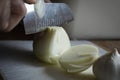Closeup shot of a man cutting onion on a cutting board Royalty Free Stock Photo