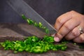 Closeup shot of a man's hand slicing onion chives on a wooden chopping board Royalty Free Stock Photo