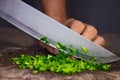 Closeup shot of a man's hand slicing onion chives on a wooden chopping board Royalty Free Stock Photo