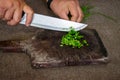 Closeup shot of a man's hand slicing onion chives on a wooden chopping board Royalty Free Stock Photo