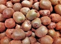 Closeup shot of many kiwi fruits