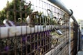 Closeup shot of many locks on a grid fence