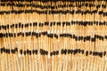 Closeup shot of many matches stacked in rows