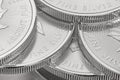 Closeup shot of maple leaf fine silver coins from the Royal Canadian Mint