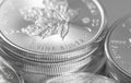 Closeup shot of maple leaf fine silver coins from the Royal Canadian Mint Royalty Free Stock Photo