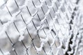 Closeup shot of a metal net fence covered in snow Royalty Free Stock Photo