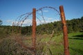 Closeup shot of a metal steel barbed wire. Metallic thorns in the countryside forest