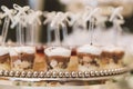 Closeup shot of a metal tray with lots of tasty looking desserts portions