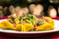 Closeup shot of Mexican-style tacos on a white plate, filled with minced meat Royalty Free Stock Photo