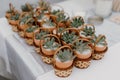 Closeup shot of mini cute potted succulents as wedding favors