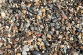 Closeup shot of mixed beach pebble stones