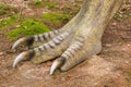 Closeup shot of a model dinosaur foot at Dino Park. Szklarska Poreba, Poland