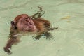 Closeup shot of a monkey swimming in the water in a forest