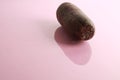 Closeup shot of a morcilla sausage on a pink background