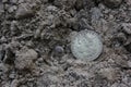 Closeup shot of the 1879 Morgan silver dollar on the ground in dirt Royalty Free Stock Photo