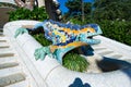 Closeup shot of a mosaic lizard sculpture in Park Guell