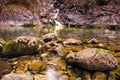 Closeup shot of mossy rocks in a pond with a small waterfall in the background Royalty Free Stock Photo
