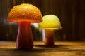 Closeup shot of mushroom lamps