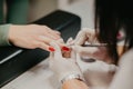 Closeup shot of the nail master working on the client's nails Royalty Free Stock Photo