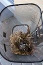 Closeup shot of a nest in the metal basket of a bicycle Royalty Free Stock Photo