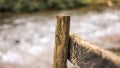 Closeup shot of old mossy wood on a gate at a park