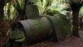 Closeup shot of an old rusted part of a train in the middle of a forest Royalty Free Stock Photo