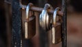 Closeup shot of an old and rusty padlocks on a blurred background Royalty Free Stock Photo