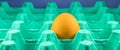 Closeup shot of one last egg in a plastic container Royalty Free Stock Photo