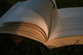 Closeup shot of an open book on the grassy ground