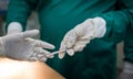 Closeup shot in the operating room, assistant hands out instruments to surgeons during operation