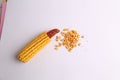 Closeup shot of organic corn isolated on white background Royalty Free Stock Photo