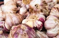 Closeup shot of organic unpeeled garlic bulbs