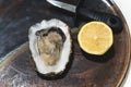 closeup shot of an oyster, lemon and knife next to it