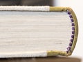 Closeup shot of the pages of a thick book Royalty Free Stock Photo