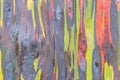 Closeup shot of a painted colorful wooden surface - great for an artsy background