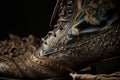 A closeup shot of a pair of brown fancy leather boots with ornaments