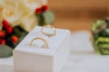 Closeup shot of a pair of gold wedding rings