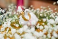 Closeup shot of a pair of golden wedding rings on a white rabbit figurine ears Royalty Free Stock Photo