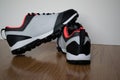 Closeup shot of a pair of sport shoes on a wooden surface