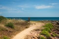 Closeup shot of a pathway leading to the shore of the sea