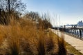 Closeup shot of a paving sidewalk near the river with yellowing grass around Royalty Free Stock Photo