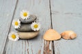 Closeup shot of pebbles stacked on top of each other next to daisies and seashells on wooden floor