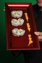 Closeup shot of a person holding a red tray of assorted sushi rolls against a green background. Royalty Free Stock Photo