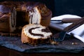 Closeup shot of a piece of delicious homemade marble pound cake on a baking spatula Royalty Free Stock Photo