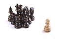 Closeup shot of pieces of chess on white background