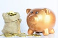 Closeup shot of a piggy bank and a tiny sack with golden coins on a white background Royalty Free Stock Photo